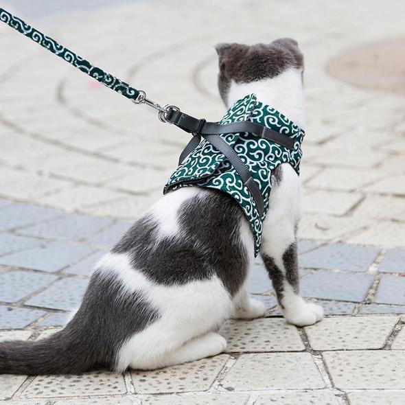 Breathable Cat Harness & Leash for Safe Outdoor Adventures