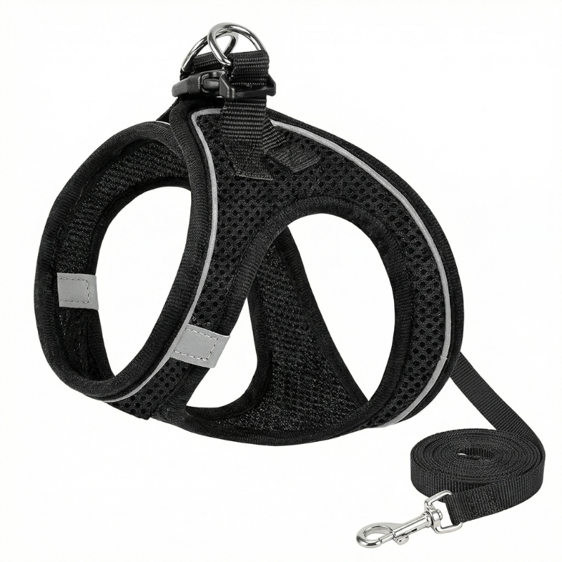 Cat's Comfort-Fit Harness for Safe Outdoor Walks