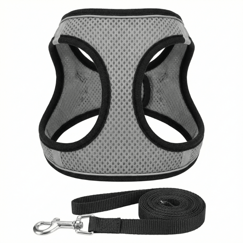 Cat's Comfort-Fit Harness for Safe Outdoor Walks