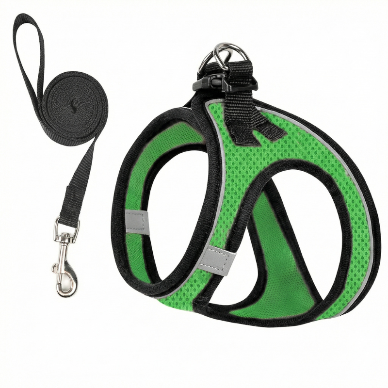 Cat's Comfort-Fit Harness for Safe Outdoor Walks