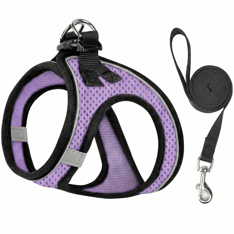 Cat's Comfort-Fit Harness for Safe Outdoor Walks