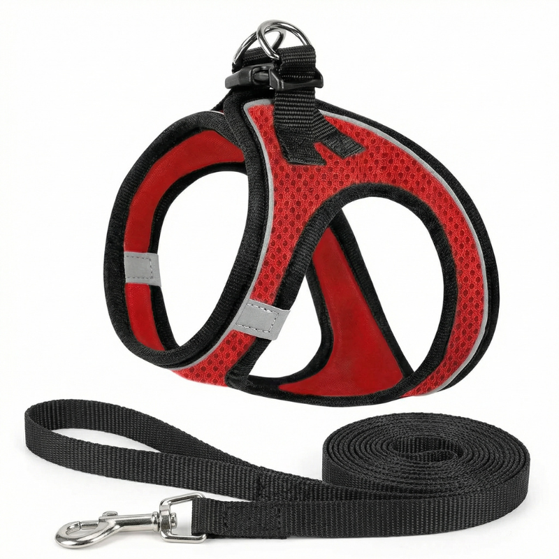 Cat's Comfort-Fit Harness for Safe Outdoor Walks