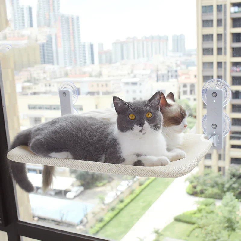 Feline's Cozy Window Hammock - KittyCloud Perch for Sunny Views