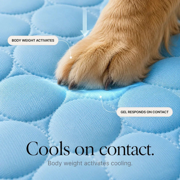 Coolabee Cooling Mat for Dogs & Cats, No-Freeze Washable Pet Pad - Elena Harper