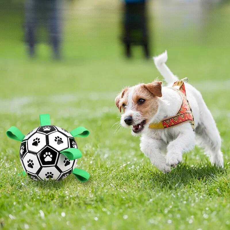 Dog Soccer Ball for Interactive Play with Easy-Grab Tabs
