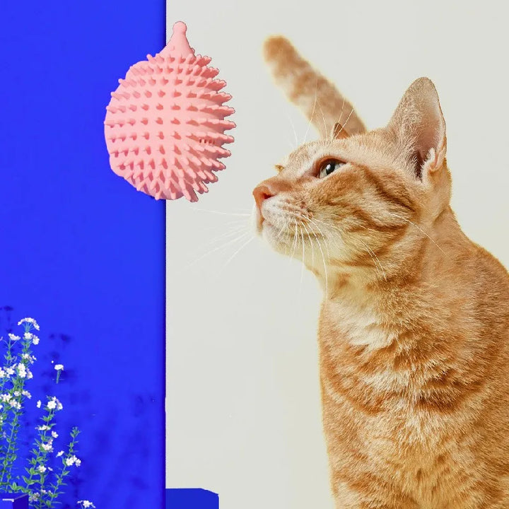 Unisex Catnip UFO Toy for Active Indoor Play