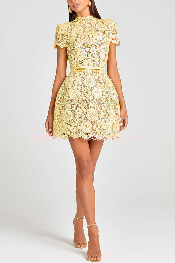 Champagne Toast Flower Lace Short Sleeve Bow Belted Mini Dress, view 5 - Elena Harper