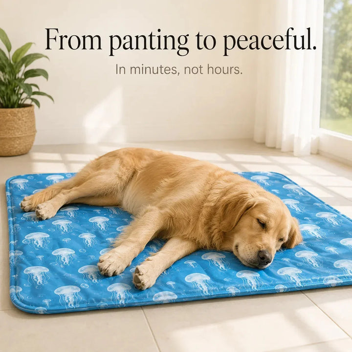 Coolpaw Waterproof Summer Cooling Mat for Dogs and Cats - Elena Harper