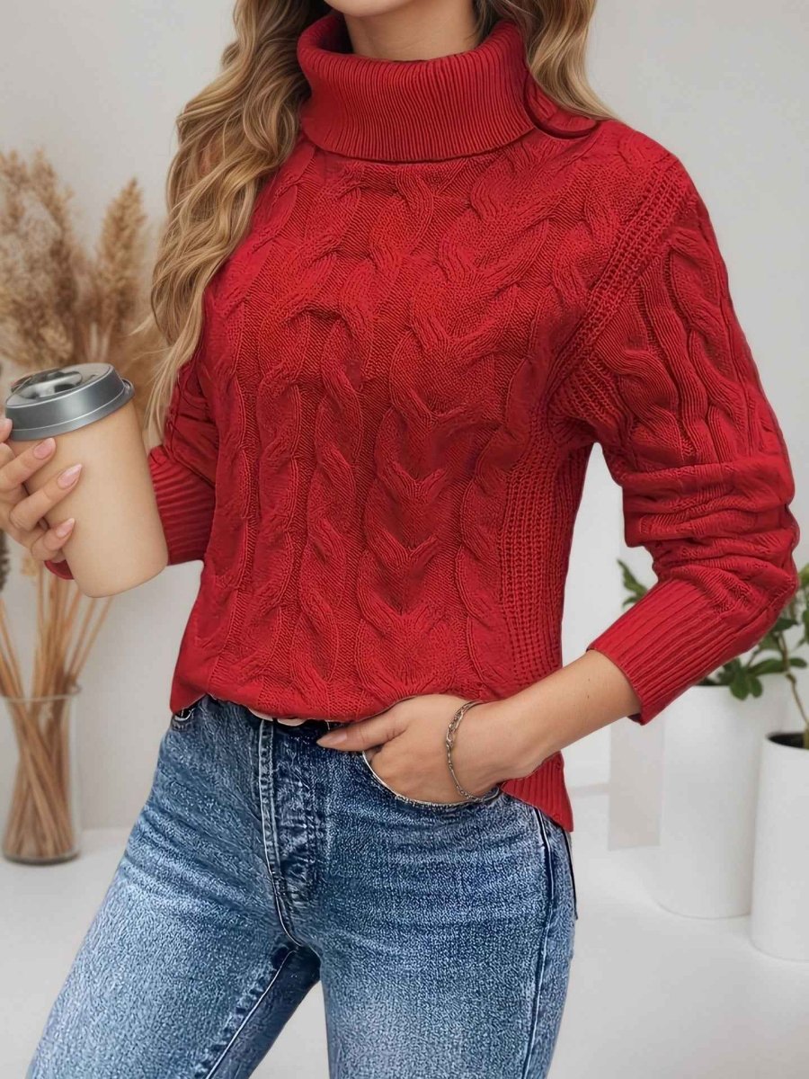 Women's Sweater with Turtleneck and Long Sleeves