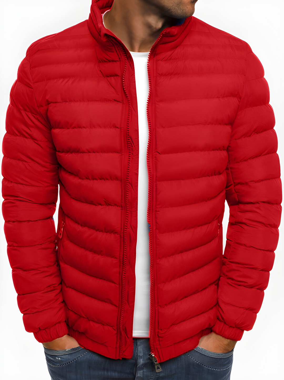 Winter Jacket Men | Casual Intermediate Jacket | Warm & Comfortable