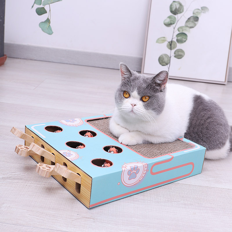 Cat's Interactive 3-in-1 Scratching Post & Play Tunnel