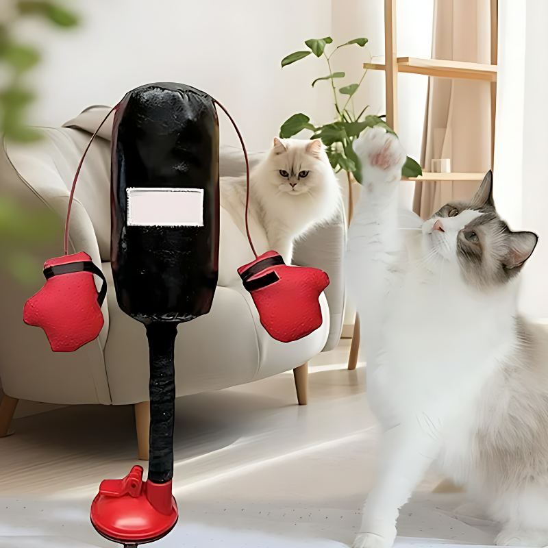 Interactive Cat Boxing Toy for Feline Exercise & Fun