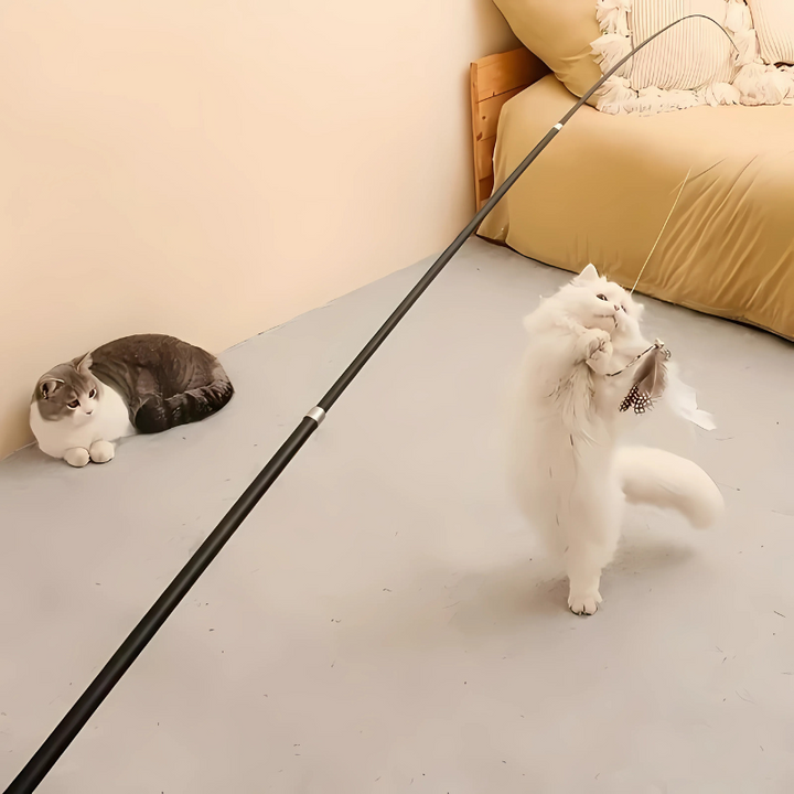 Interactive Cat Wand Toy with Feather Attachment for Active Play