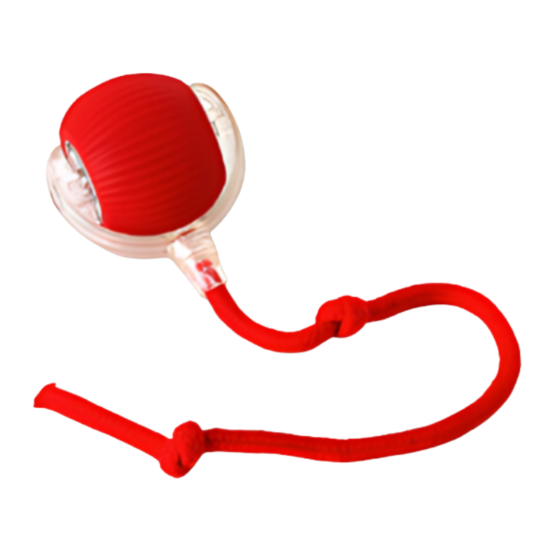 Interactive Dog Chase Toy for Mental & Physical Fun