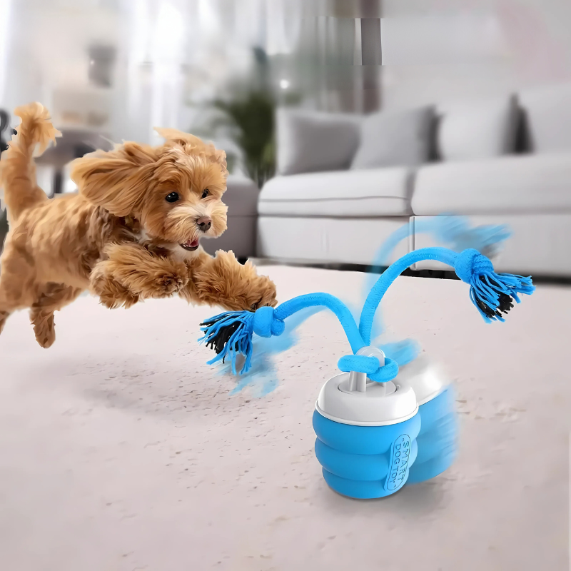 Interactive Pet Dental Toy for Dogs - Fun Chew & Play