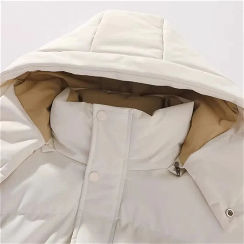 ChillGuard Elegant Padded Jacket with Hood, view 6 - Elena Harper