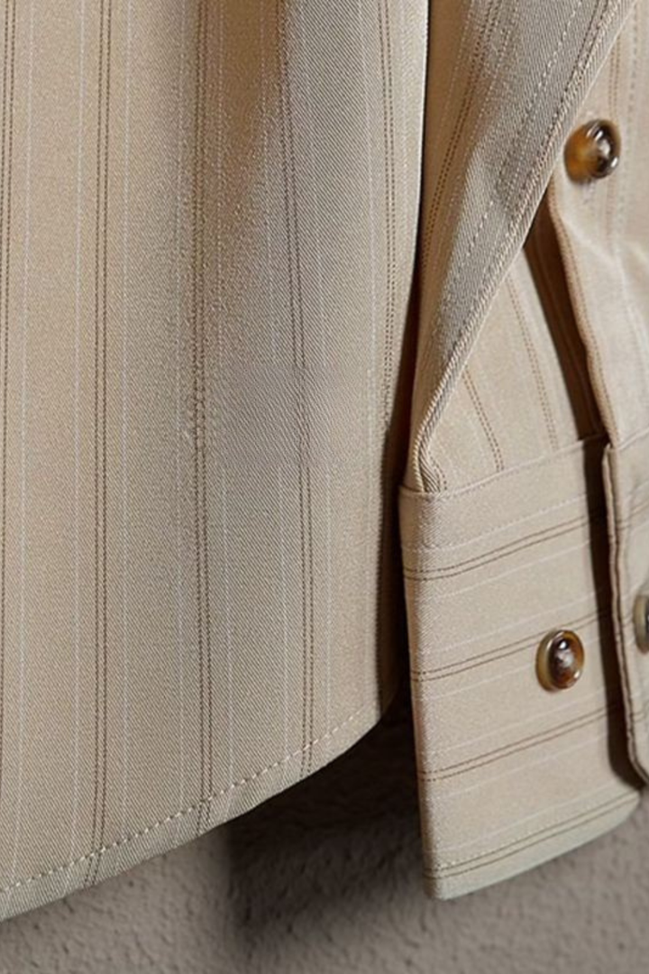 Men's Striped Long Sleeve Button Down Formal Shirt
