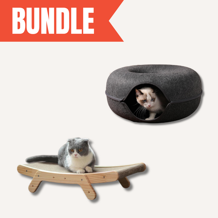 Cat's Play & Lounge Set: Ergonomic Scratcher & Cozy Hideaway
