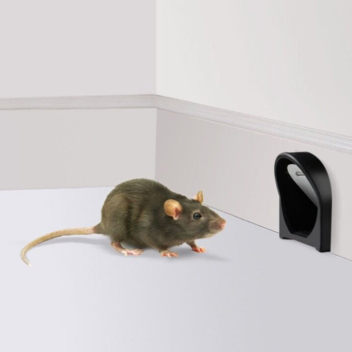 Plastic Rat Trap Cage for Humane Pest Control
