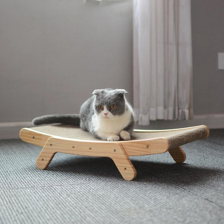 Cat's Ergonomic ScratchSlope Scratcher for Healthy Play
