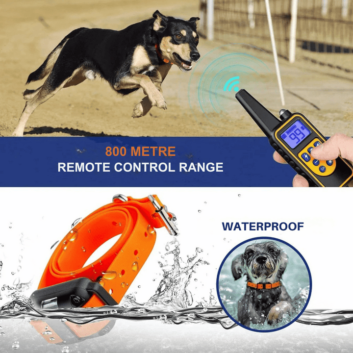 Waterproof Rechargeable Remote-Controlled Dog Training Collar